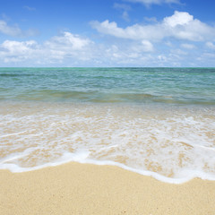 tropical Beach with Blue Sky