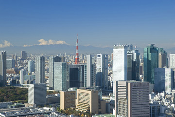 Fototapeta premium 東京市街と富士山展望