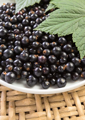 black currant