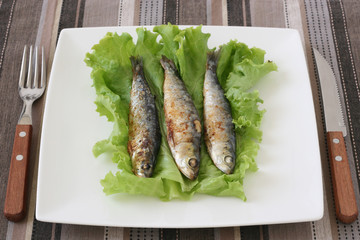 Fried sardines on lettuce