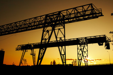 Silhouette of cranes at sunset