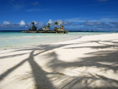 Lovely palm tree shadows on white sand beach