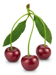 Ripe cherry isolated on white background