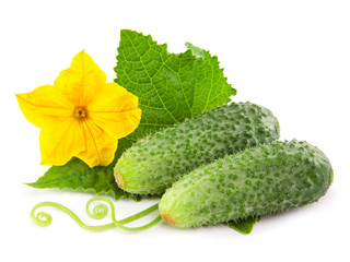 Cucumber isolated over white background