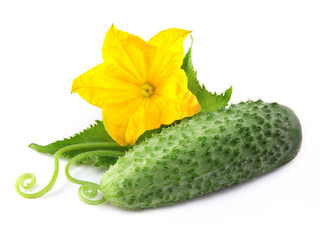 Cucumber isolated over white background