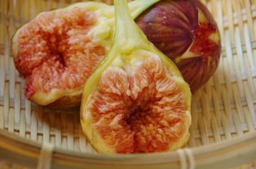 FRUIT イチジクの実