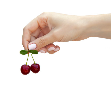 Черешня в руках. Черешня в руках. Вишня в руке. Черешня на ладошке. Рука с вишенкой.