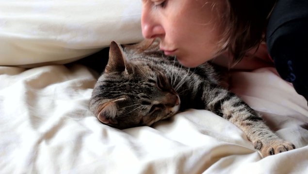 faire un bisou &agrave; son chat