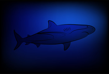 Fototapeta premium Shark at ocean