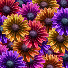 Obrazy  Tapeta kwiatowa