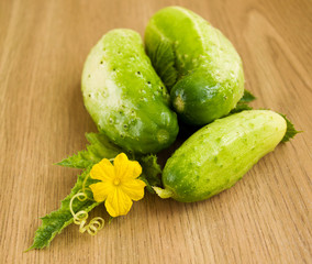 Cucumbers