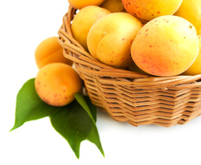 Apricots