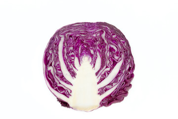 Fototapeta premium Red cabbage