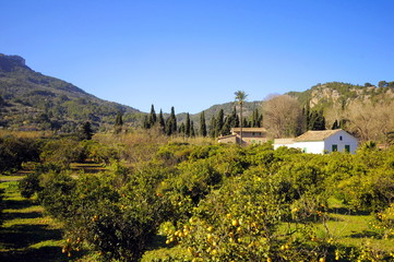 Iles Baleares, Espana, Balearen, Mallorca, Spanien,
