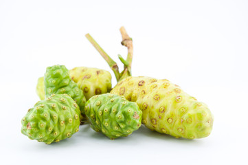 Exotic Fruit - Noni