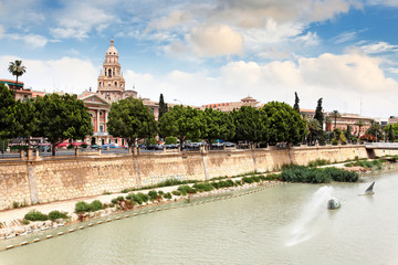 Blick auf Rathaus und Rio Segura in Murcia, Spanien