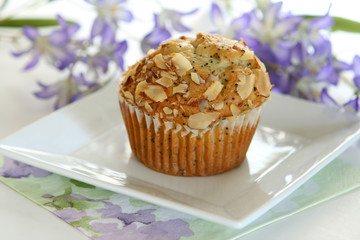 Almond Poppy Seed Muffin