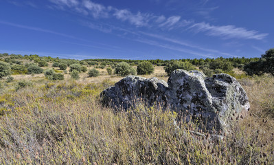 Paisaje castellano-leonés.