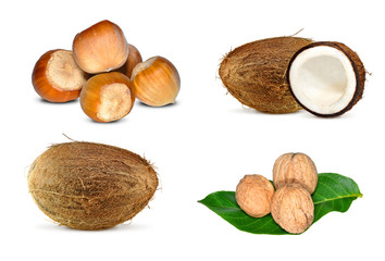 nuts collection isolated on white background