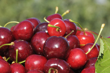 cherries