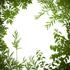 A Floral Background with Trees and Leaves