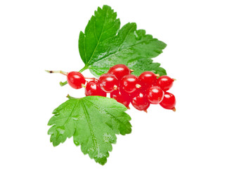 red currants isolated on white background