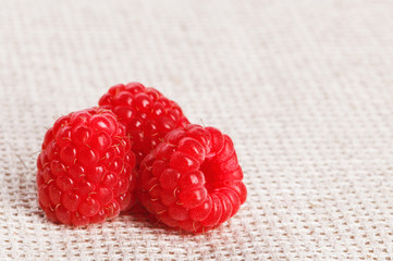 Three red ripe raspberry fruit, on gray linen table cloth, macro