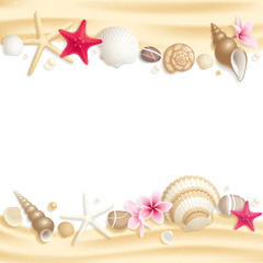 Seashell frame
