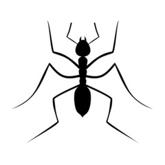 Ilustración hormiga