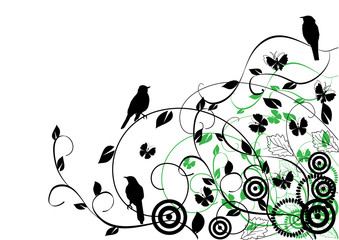 vector floral background with birds