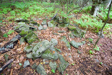 Ruins of the ancient building. Petrov island. Russia.
