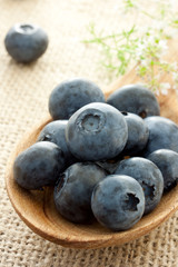 Fresh blueberries on wooden spoon