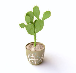 Isolated Cactus in 3D