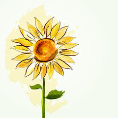 Naklejka premium Sunflower background
