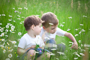 Two siblings in field