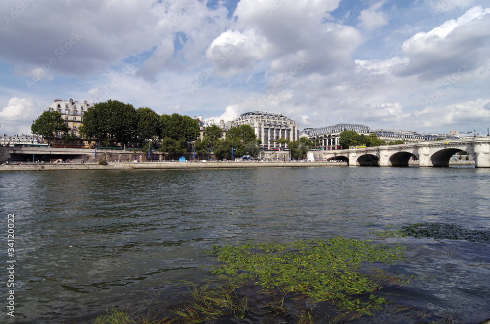 Canvas Prints paris, plantes aquatiques dans la seine