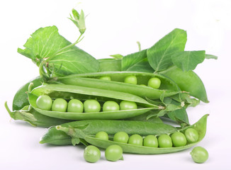 Green peas in pod close-up on white background