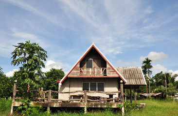 Summerhouse in the green field