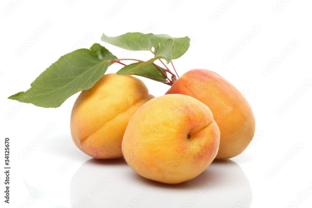 Poster apricots isolated