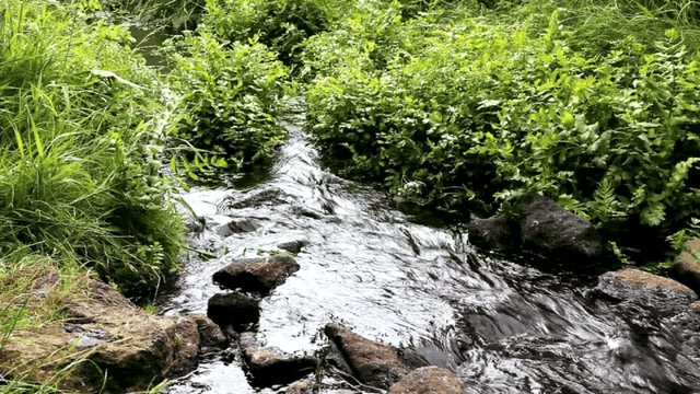 Bachlauf  im Kerzenlicht