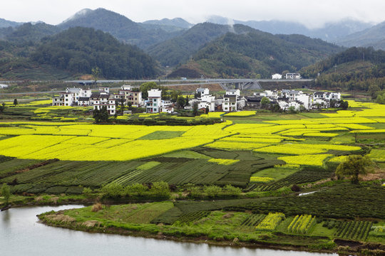 Fototapeta rural landscape in wuyuan county, jiangxi, china