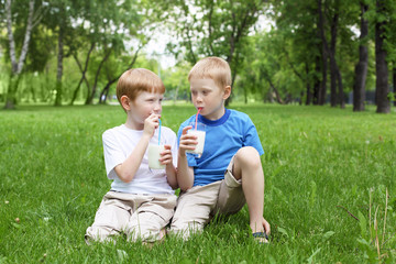Naklejka na ściany i meble Portrait of two boys in the summer outdoors