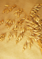 Haferrispen h.