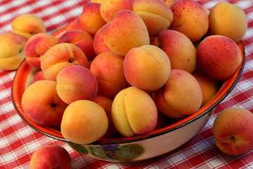 Abricots à confiture