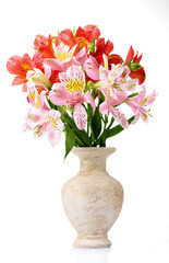 beautiful bouquet in vase isolated on white