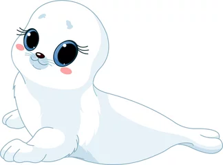 Muurstickers Baby  seal © Anna Velichkovsky