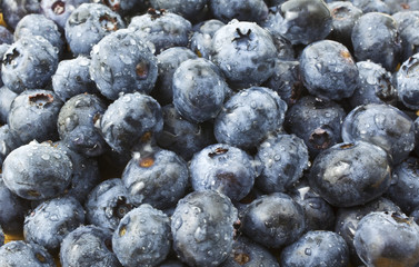 Blueberry