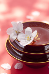 Fototapeta na wymiar Cup U Tańca akcjonariusze Ni Sakura kwiat 