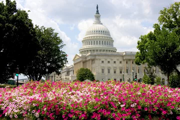 Papier Peint photo Lavable Lieux américains US Capitol building with summer flowers