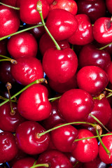 red sweet cherry